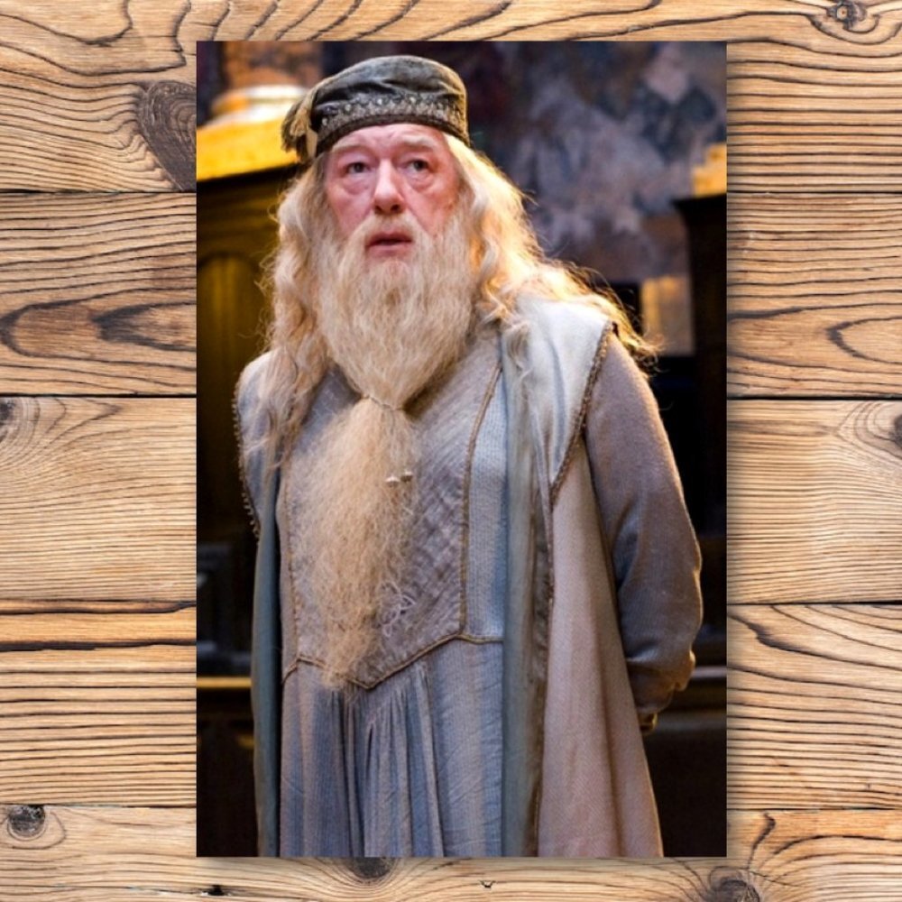 Harry Potter Professor Albus Dumbledore Refrigerator Locker Fridge Magnet